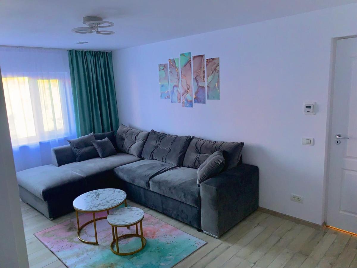 Infinity Apartment Petroşani